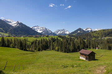 Alpenpanorama mit Blumen, Bergen und einer Holzhütte