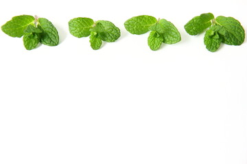 白背景のミント © plants_ka