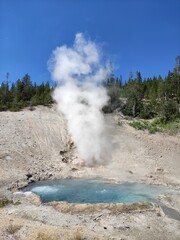 geyser's eruption in yellowstone park