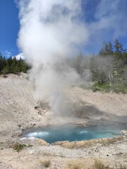 geyser's eruption in yellowstone park