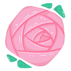 Pink Rose isolated on transparent background 