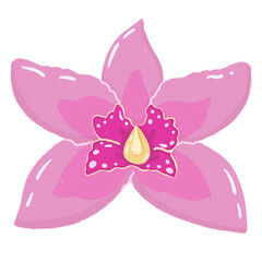 Pink Orchid isolated on transparent background 