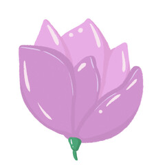 Pink Flower isolated on transparent background 