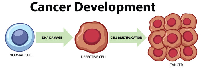 Tumor cell and cancer development