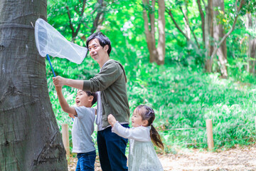 虫採りをするお父さんと子どもたち