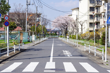 桜咲く春の住宅街