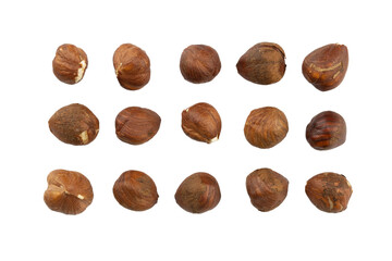dried hazelnuts with rough brown crust without shell, top view, transparent background / flat lay