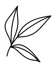 Leaf doodle vector