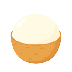 Longan vector. Summer tropical fruits for healthy lifestyle. Longan fruit. Vector illustration cartoon flat icon isolated on white.