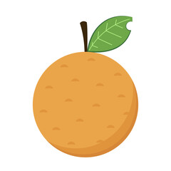 Longan vector. Summer tropical fruits for healthy lifestyle. Longan fruit. Vector illustration cartoon flat icon isolated on white.