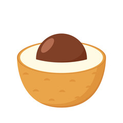 Longan vector. Summer tropical fruits for healthy lifestyle. Longan fruit. Vector illustration cartoon flat icon isolated on white.
