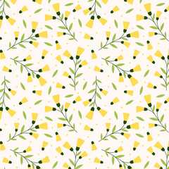 Mimosa flower vector. illustration isolated on white background. Yellow flower.