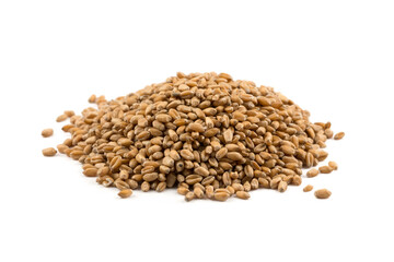 Wheat grain on white