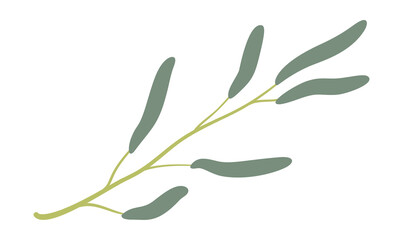 Watercolor spring flower