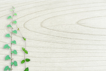 木目背景とグリーン