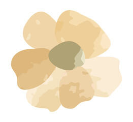 Watercolor spring flower