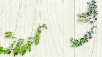 木目背景とグリーン