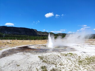 geyser's eruption in yellowstone park