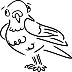 Vector drawing of a pigeon, dove. Sketch, contour,silhouette,flat,black and white.In cartoon style, hand drawn, doodle, isolated. Silly, cute, funny. Birds, animal, city, character, emotion