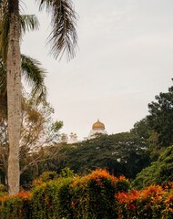 Naklejka premium Beautiful garden with green trees near Sultan Azlan Shah museum, Sultan of Perak, in Kuala Kangsar, Perak, Malaysia