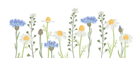 blue cornflowers, daisies and shepherd's purse, field flowers, vector drawing wild plants at white background, hand drawn botanical illustration - obrazy, fototapety, plakaty