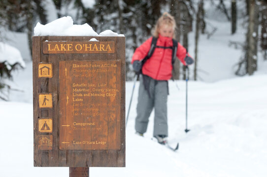 A young girl cross country skiing at Lake O'Hara, Yoho National Park, Field, British Columbia, Canada.