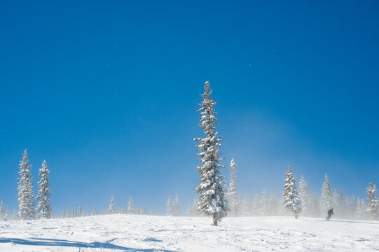 A man skis on cold winter day