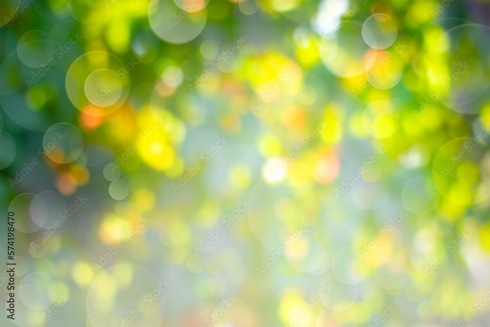 Wall mural abstract spring blurred background with bokeh