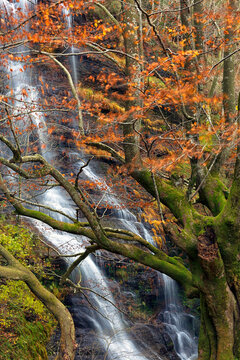 Scenic View Of An Uguna Waterfall In Gorbea Natural Park, Bizkaia, Spain