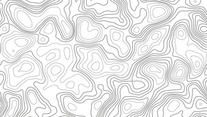 Topographic line contour map background. Geographic mountain contours vector background. Topographic map seamless pattern. White wave paper curved reliefs abstract background. 