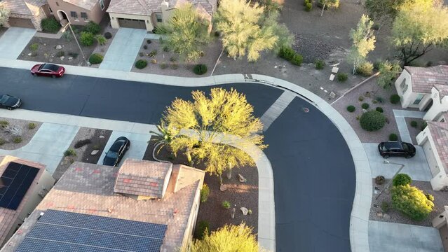 Overhead aerial view of an elderly person walking their dog by using an electric scooter.