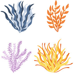 Fototapeta na wymiar Set of colorful algae or seaweed. Botanical Illustration. Underwater flora, sea plants. Concept of sea and ocean life. Vector illustration