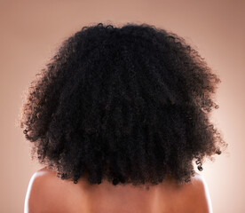Natural hair, black woman with afro and beauty, haircare and cosmetics with back on studio...
