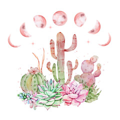 Watercolor illustration of cactus with moon phases
