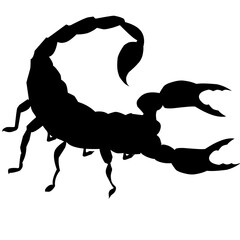 silhouette scorpion - obrazy, fototapety, plakaty