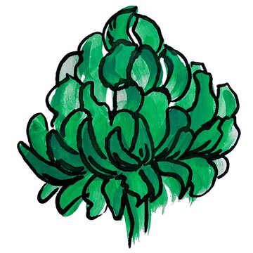 Watercolor illustration of artichoke flower in green color isolated on the white background
