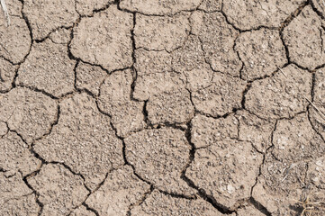 Natural Drought concept:Dried cracked earth soil ground texture background.desert rough land dry crack erosion in the ground due to drought.Dry red clay soil texture, natural floor background