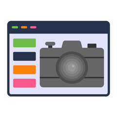 Camera Website Flat Multicolor Icon