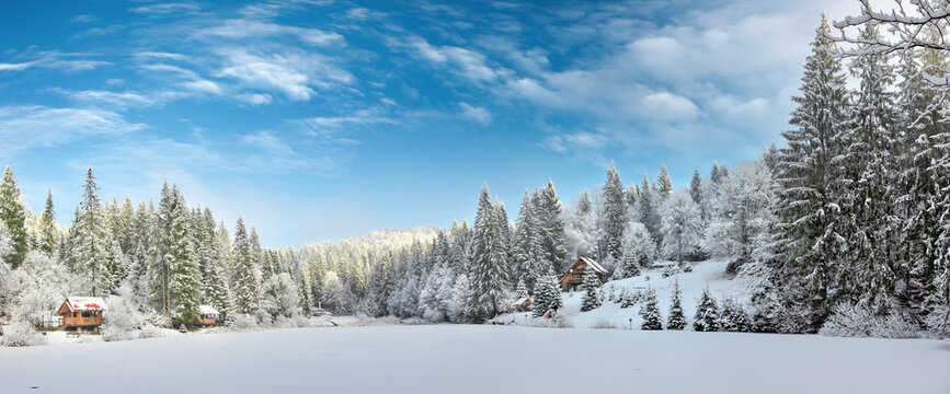 Winter forest in the Carpathians on the mountain lake Vita.  Winter holidays on the mountain lake Vita, Carpathians, Western Ukraine.
