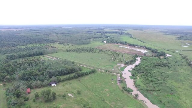 the view from the drone camera, meadows, rivers and trees in Indonesia's Way Kambas Forest National Park.