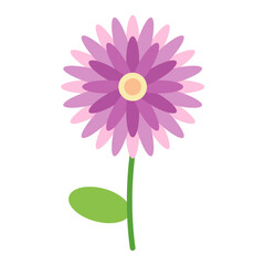 Chrysanthemum Flat Multicolor Icon