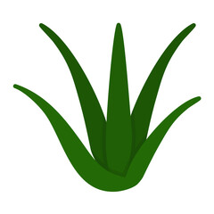 Aloevera Flat Multicolor Icon