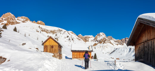 walking in Valfreda e Fuciade in fassa valley and falcade valley, Trentino Dolomites, alps italian.