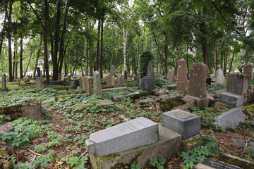 Žaliakalnio žydų senosios kapinės | Jewish Cemetery Kaunas | 001