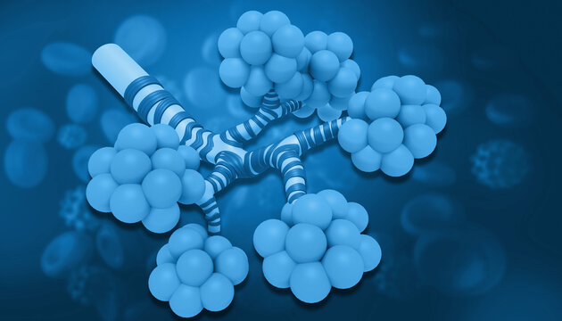 Alveoli structure on blue background. 3d illustration.
