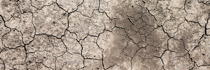 Texture of cracked dried soil. Dry ground with cracks. Brown rough surface of the soil during summer drought. Wide panoramic background for design. Ecology, climate change and global warming on Earth.