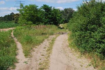 dirt road in summer