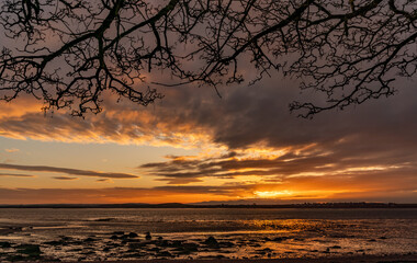 Penrhos Nature park at sunrise Isle of Anglesey North Wales