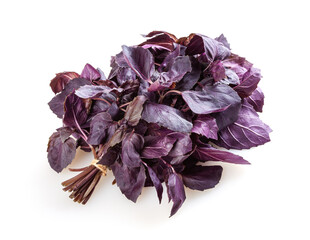 Fresh purple basil leaves isolated on white background