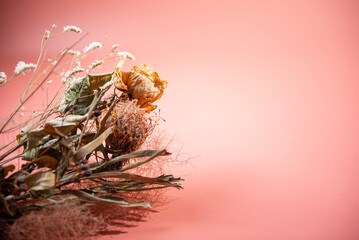 ドライフラワー